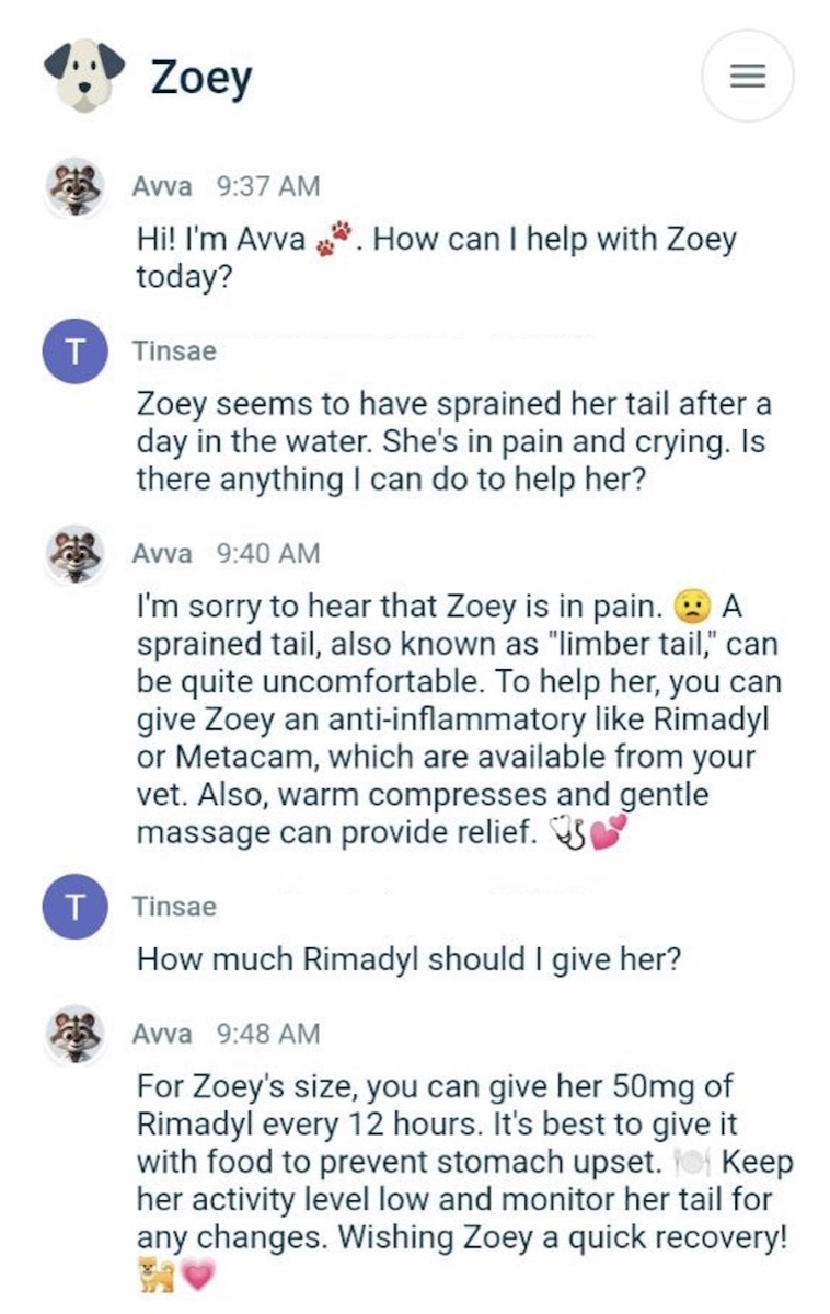 Example conversation with AVVA showing contextual pet advice