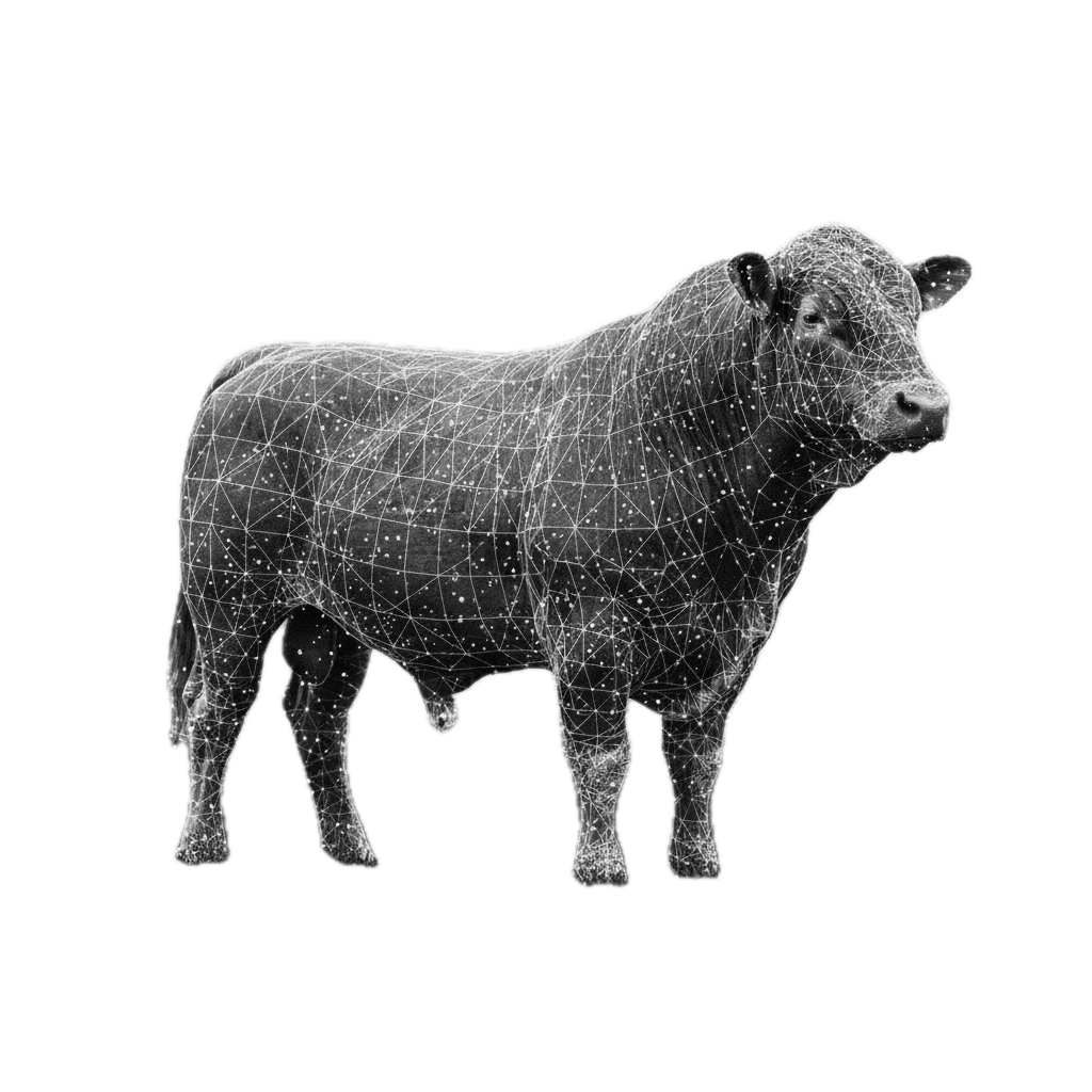 AI System for Cattle Weight Estimation Using Smartphones